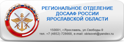 Логотип компании ДОСААФ России