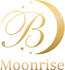 Логотип компании Moonrise