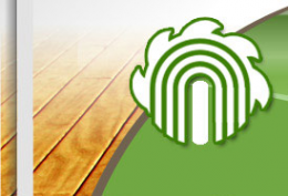 Логотип компании Деревяшки