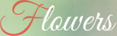 Логотип компании Цветочный рай