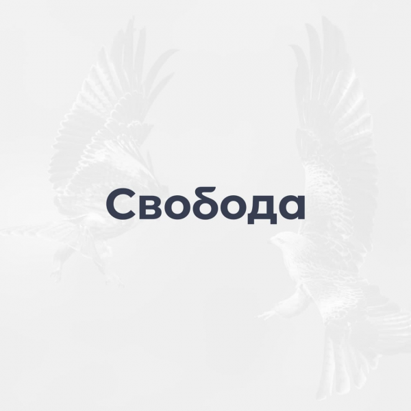 Логотип компании Свобода (ET Design Studio)