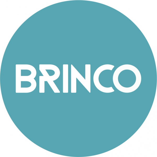 Логотип компании «Модные дети». ТМ BRINCO