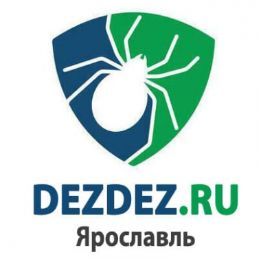 Логотип компании ООО "DezDez" Ярославль Логотип компании ООО "DezDez" Ярославль